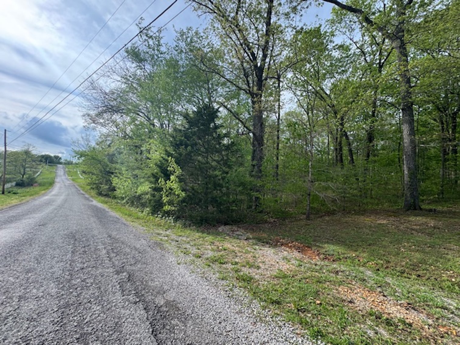 Image for Vacant Lot - 1 Acre in Beacon Light Estates - Bon Aqua, TN