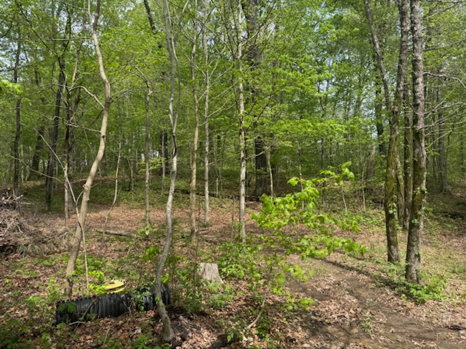 Image for Vacant Lot - 1 Acre in Beacon Light Estates - Bon Aqua, TN