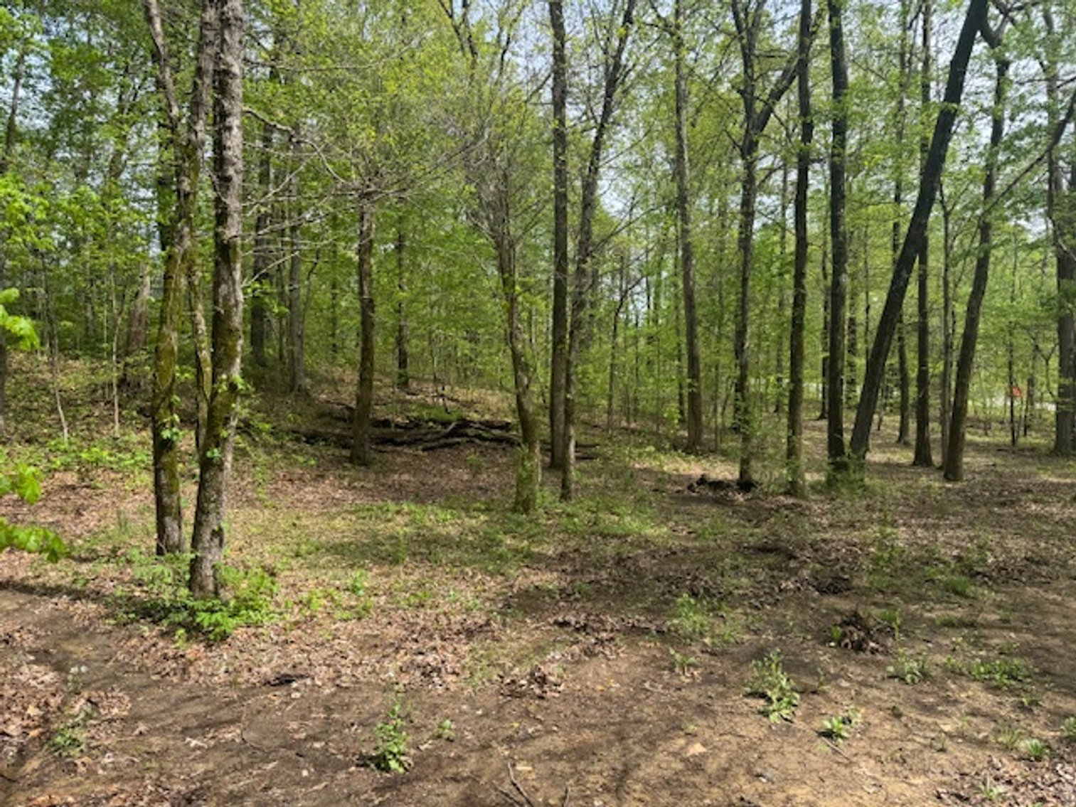 Image for Vacant Lot - 1 Acre in Beacon Light Estates - Bon Aqua, TN