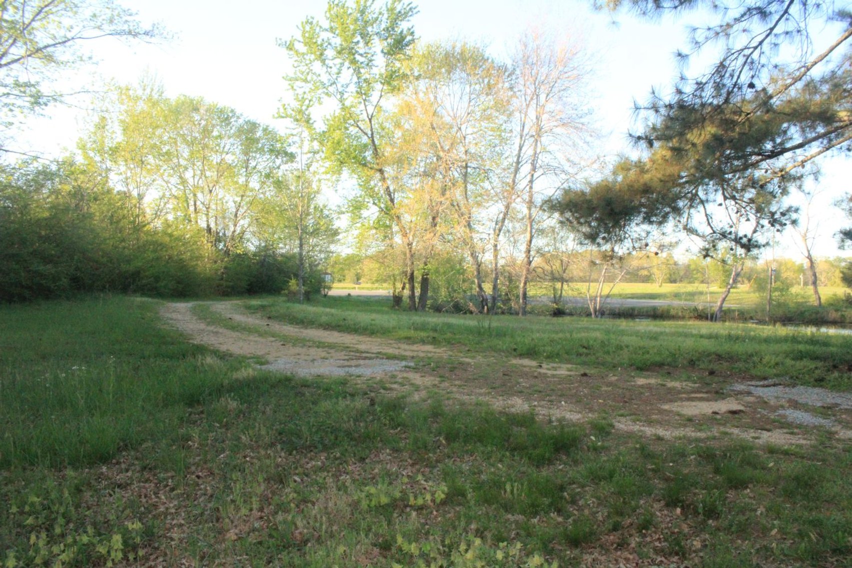 Image for House and 4.4 acres - Summertown Hwy - Lewis County