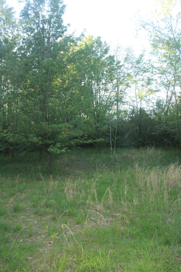 Image for House and 4.4 acres - Summertown Hwy - Lewis County