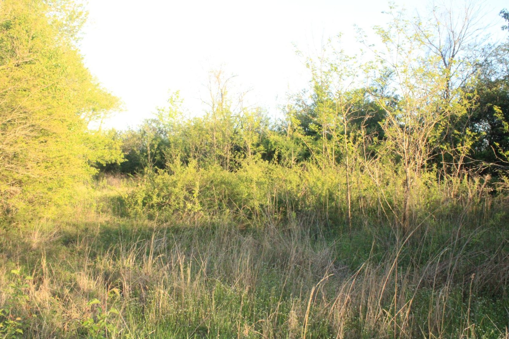 Image for House and 4.4 acres - Summertown Hwy - Lewis County