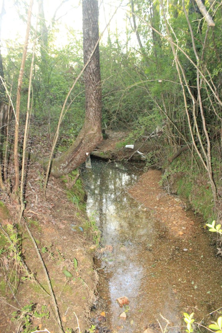 Image for House and 4.4 acres - Summertown Hwy - Lewis County
