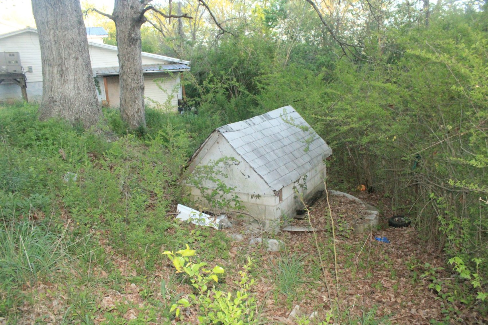 Image for House and 4.4 acres - Summertown Hwy - Lewis County
