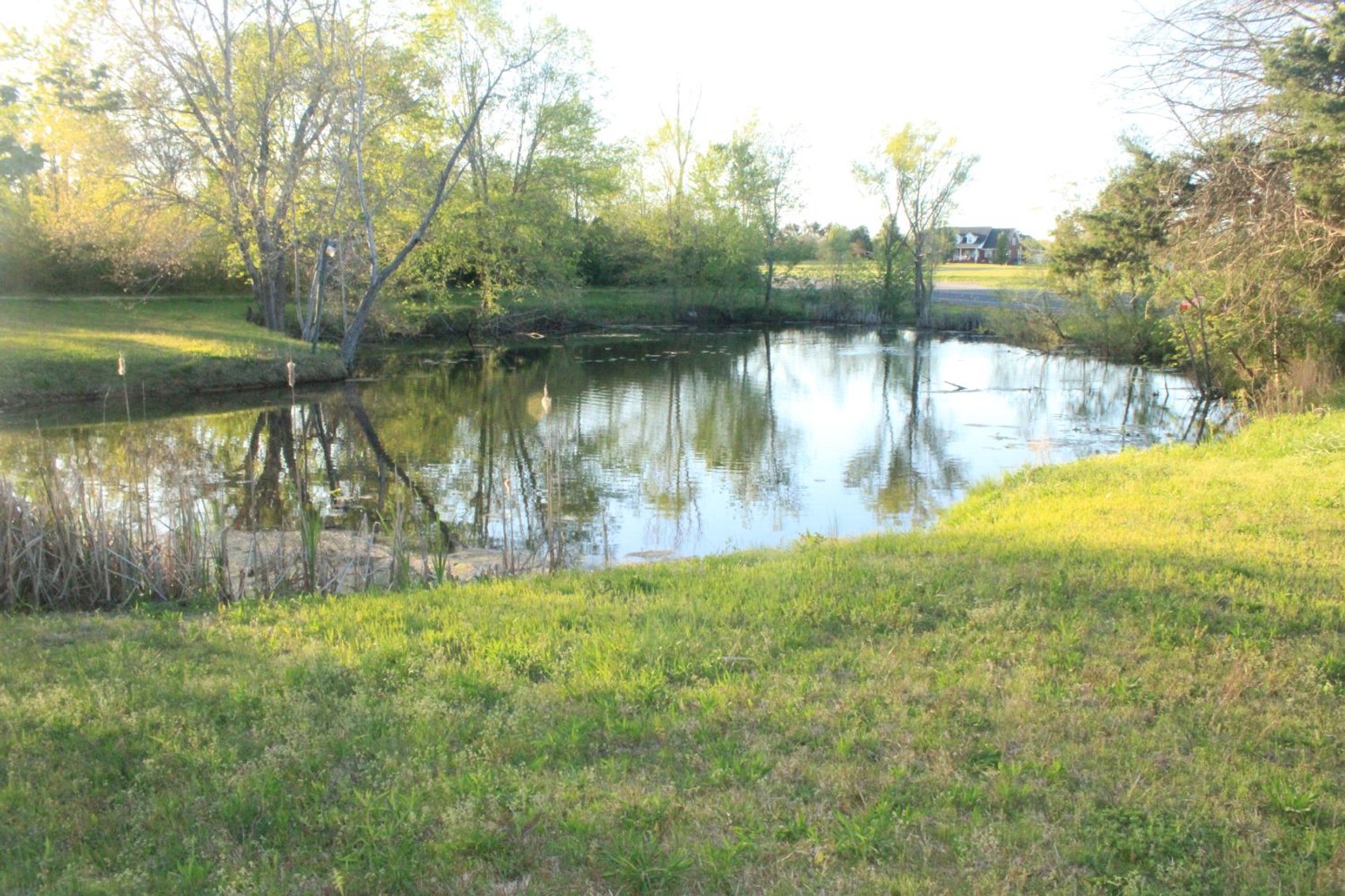 Image for House and 4.4 acres - Summertown Hwy - Lewis County