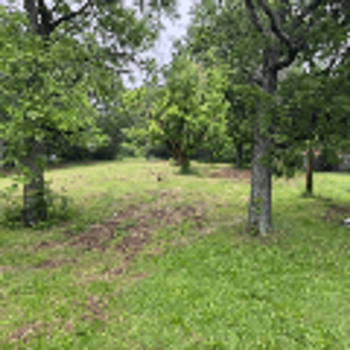 Image for Commercial Corner Lot - 1.33 acres on Fairview Blvd - Fairview / Williamson County