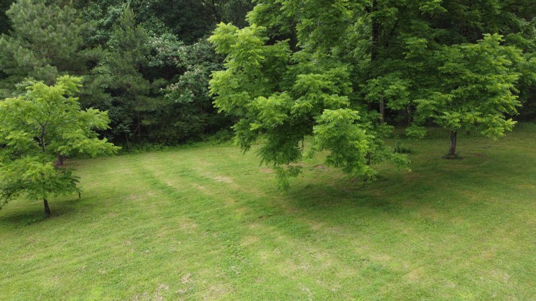 Image for Mill Creek -- Amazing Place, How Sweet the Sounds - 79 acres