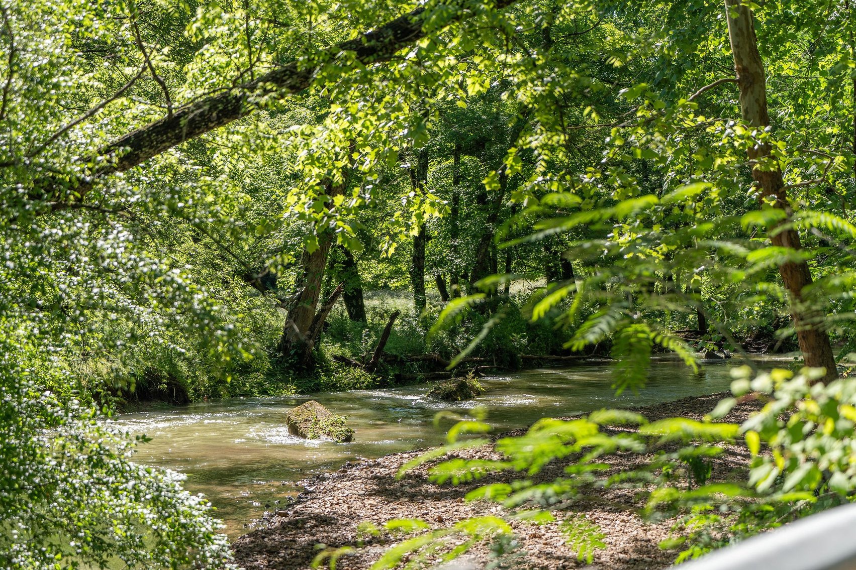 Image for 53 acre Sanctuary on Pretty Creek w/ Log Home