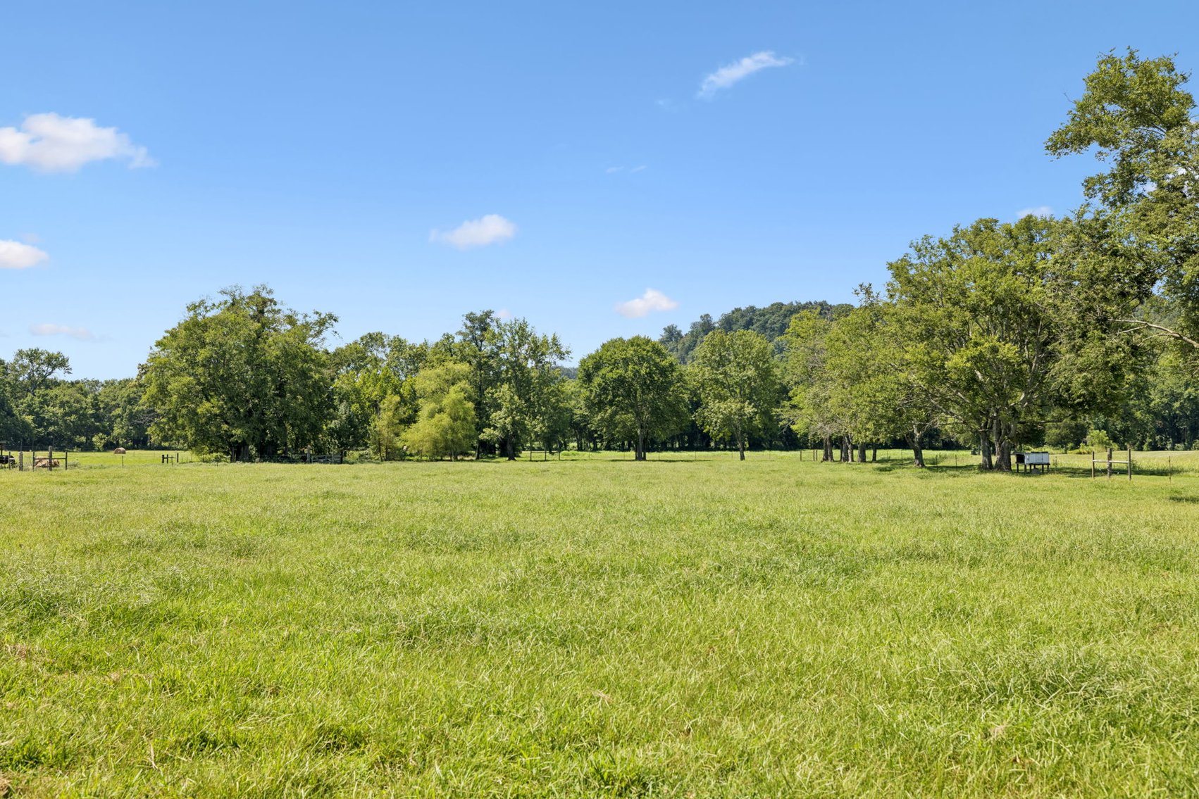 Image for 