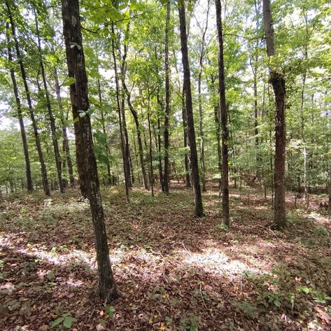 Image for 3.5 acres - Vacant Land on Centerville Hwy - 899' of Hwy Frontage - Buy One or Buy Both!