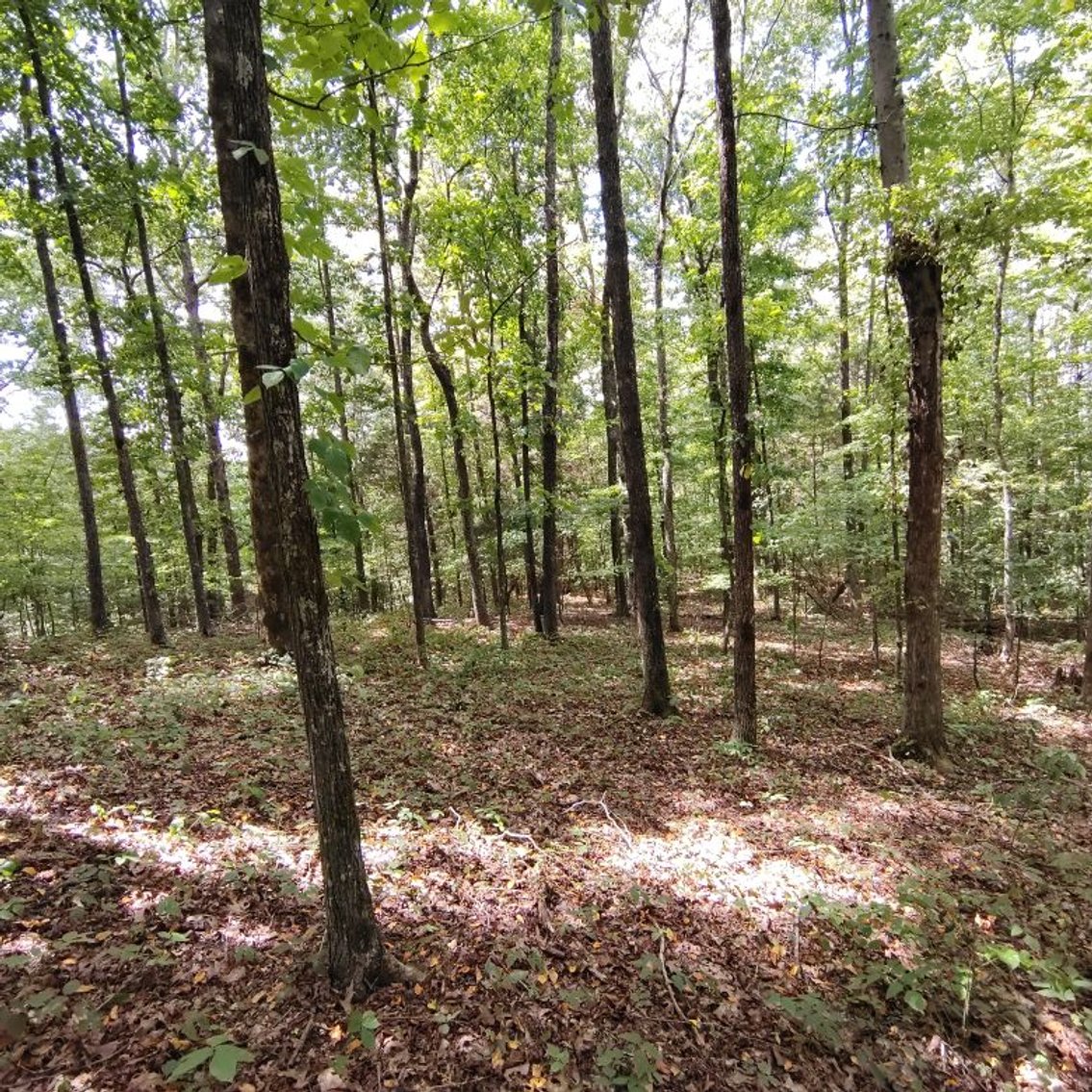 Image for 3.5 acres - Vacant Land on Centerville Hwy - 899' of Hwy Frontage - Buy One or Buy Both!