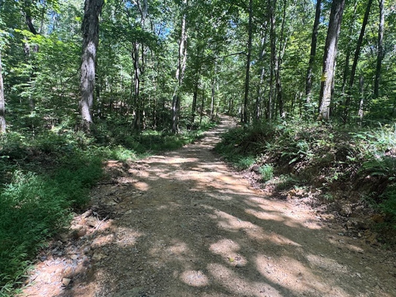 Image for 65 acres on Barren Fork Creek - Bon Aqua, TN