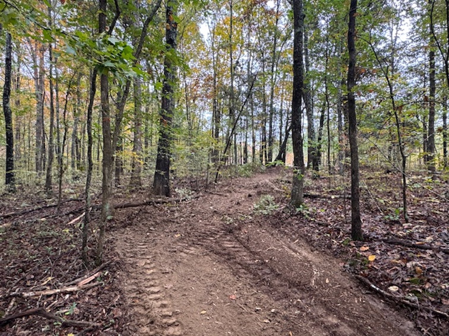 Image for 65 acres on Barren Fork Creek - Bon Aqua, TN