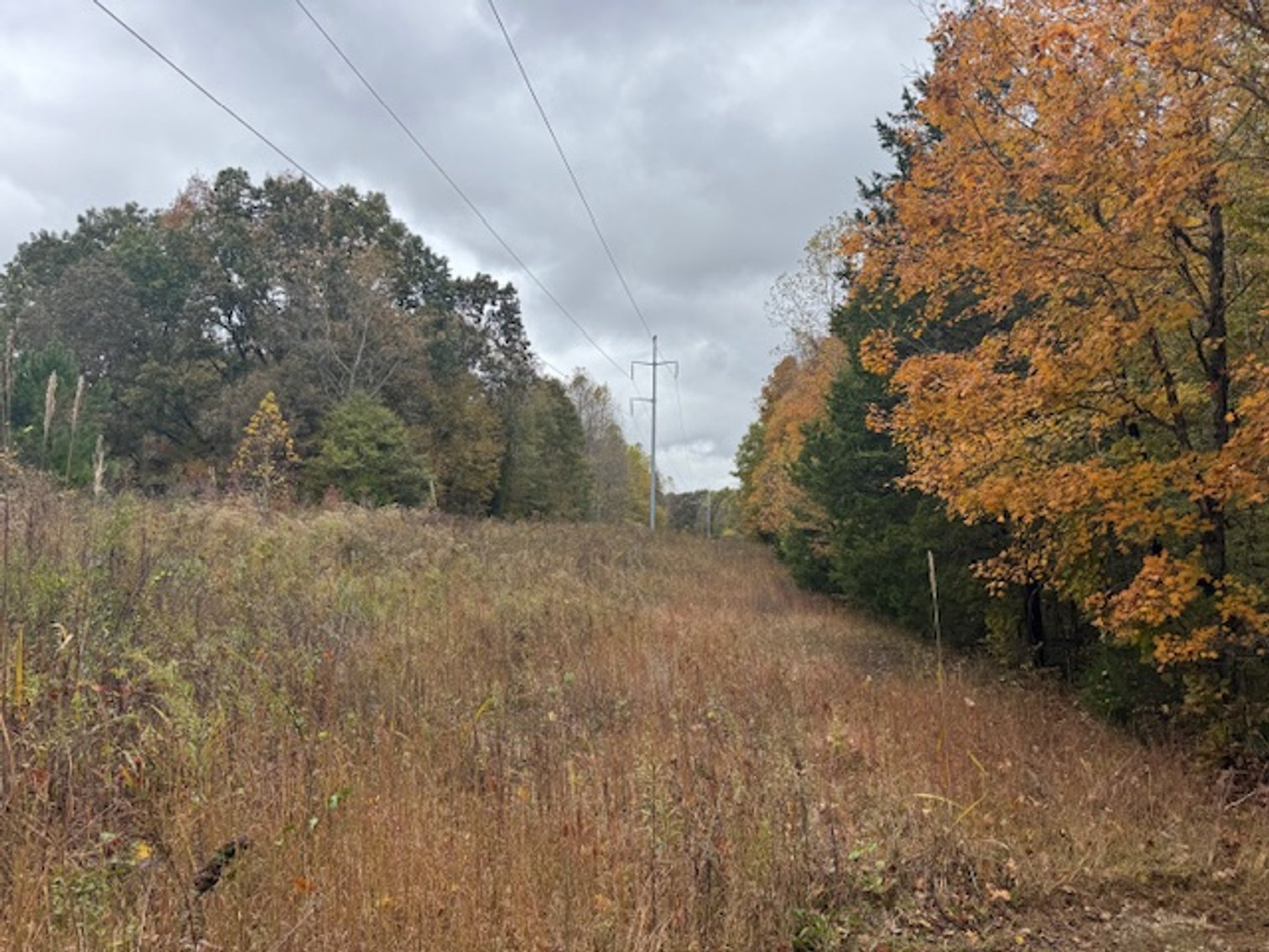 Image for 65 acres on Barren Fork Creek - Bon Aqua, TN
