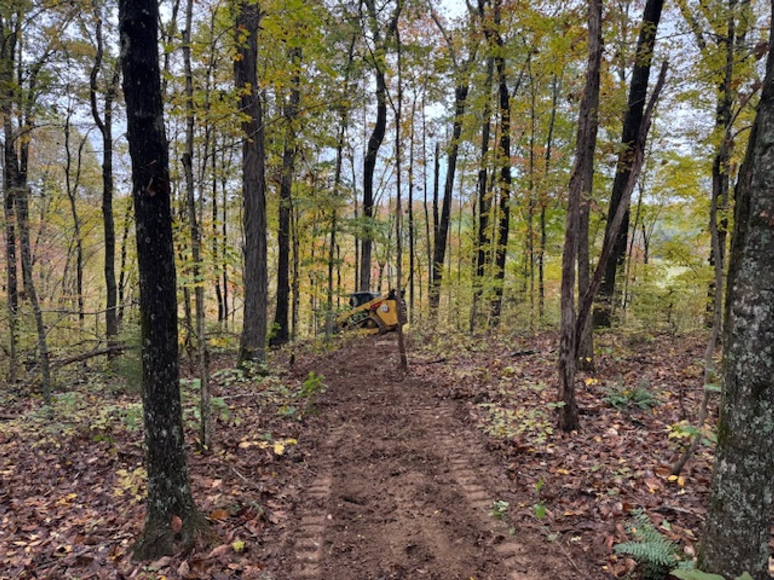 Image for 65 acres on Barren Fork Creek - Bon Aqua, TN