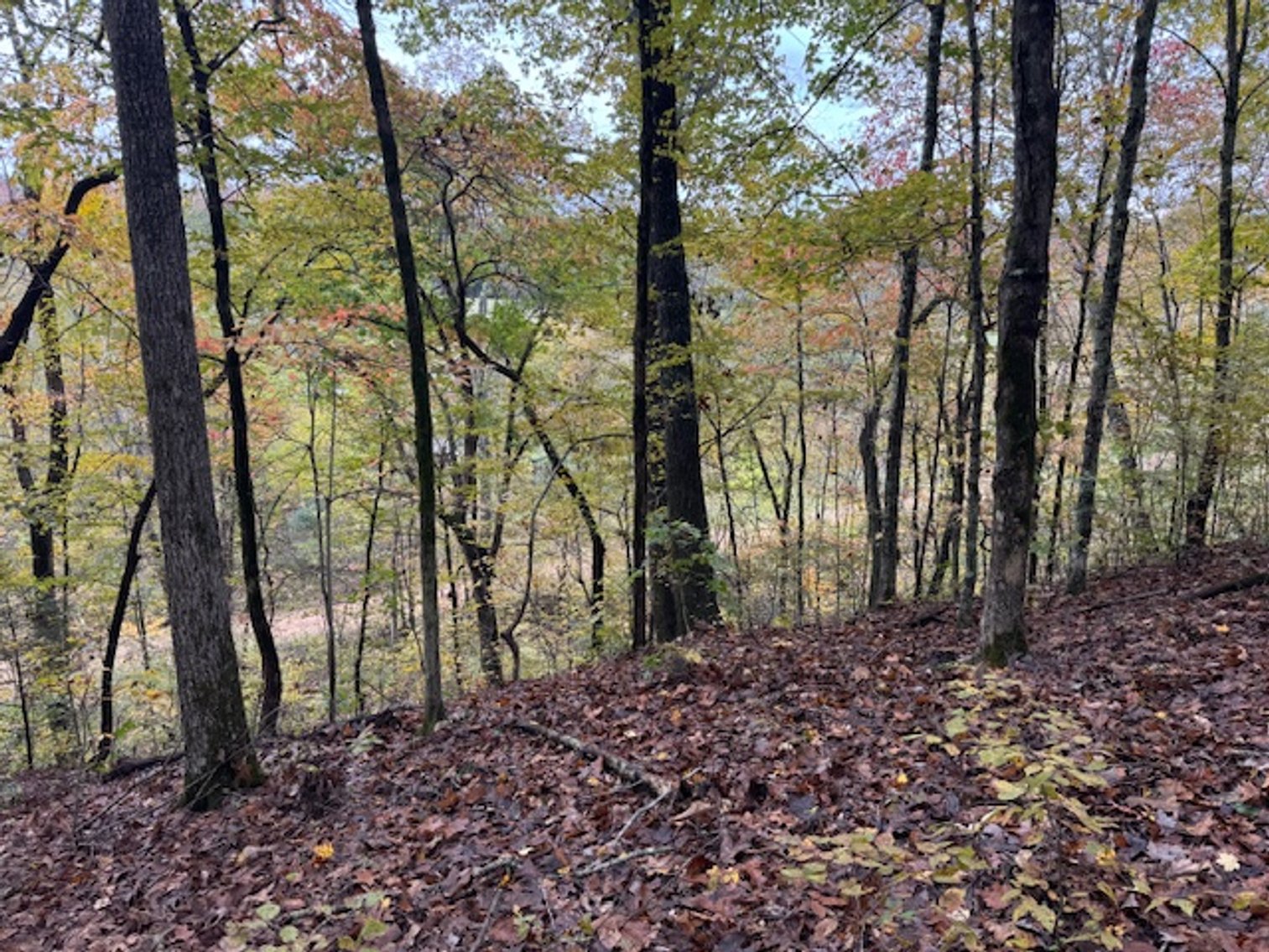 Image for 65 acres on Barren Fork Creek - Bon Aqua, TN