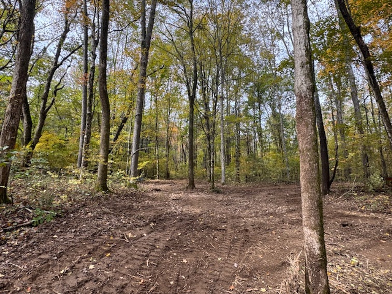 Image for 65 acres on Barren Fork Creek - Bon Aqua, TN