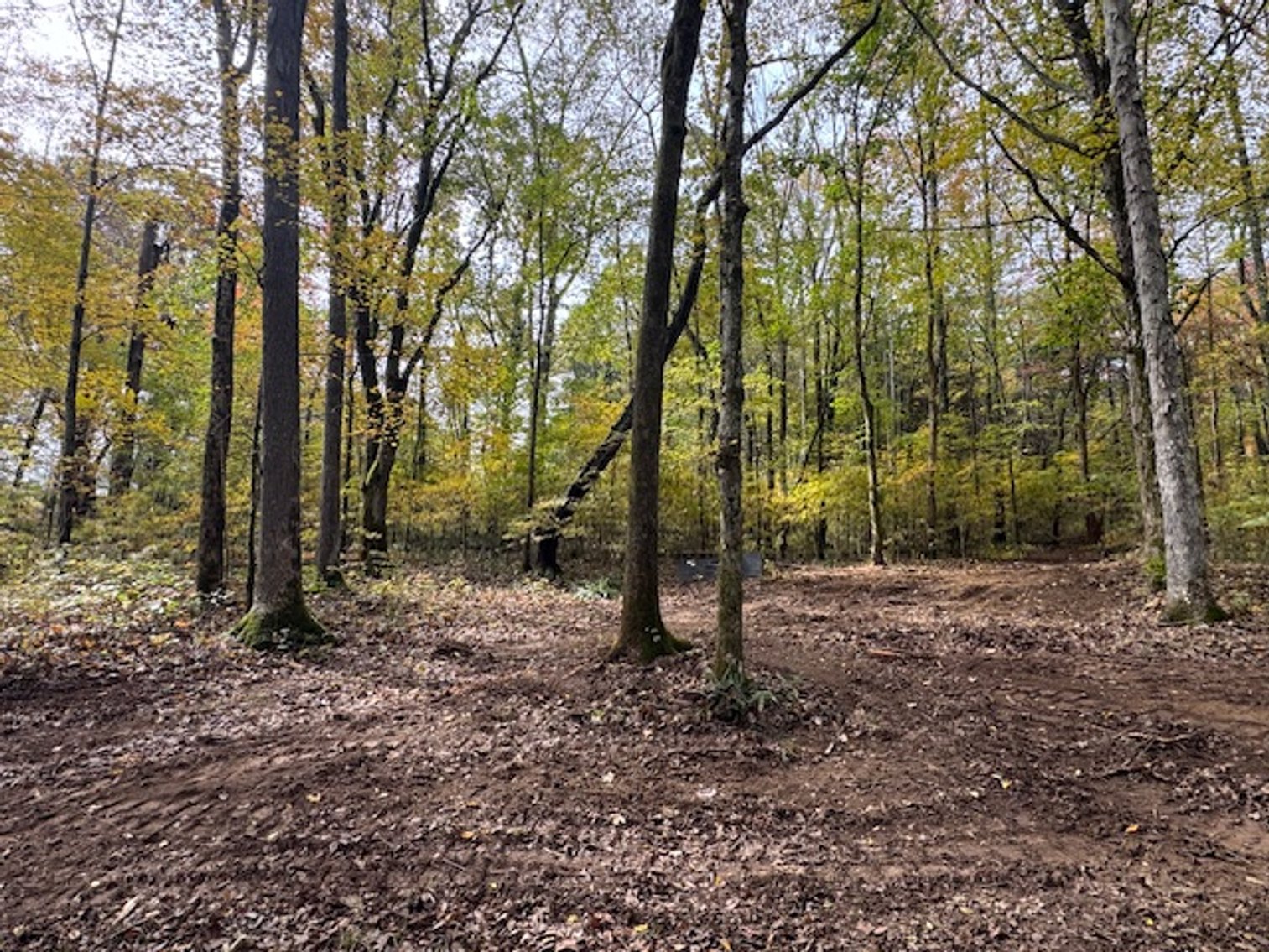 Image for 65 acres on Barren Fork Creek - Bon Aqua, TN