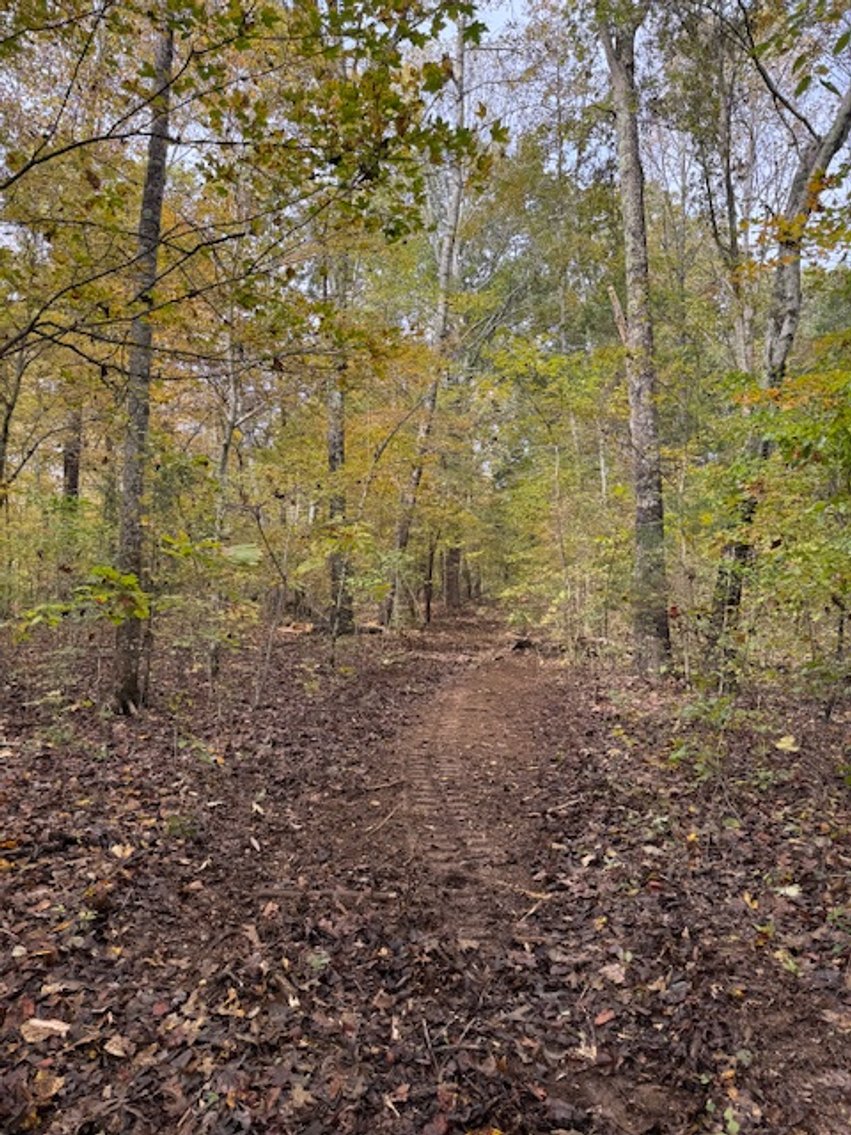 Image for 65 acres on Barren Fork Creek - Bon Aqua, TN