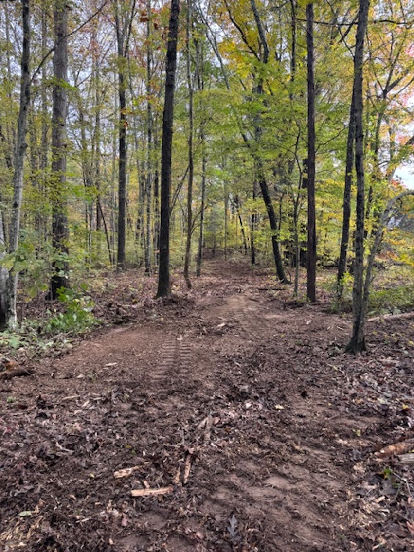 Image for 65 acres on Barren Fork Creek - Bon Aqua, TN
