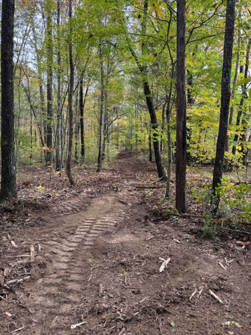 Image for 65 acres on Barren Fork Creek - Bon Aqua, TN