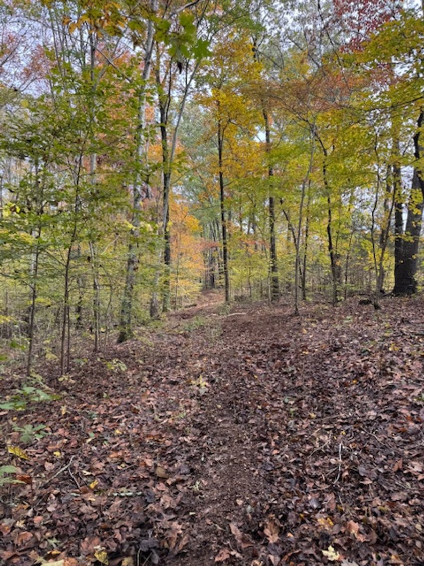 Image for 65 acres on Barren Fork Creek - Bon Aqua, TN