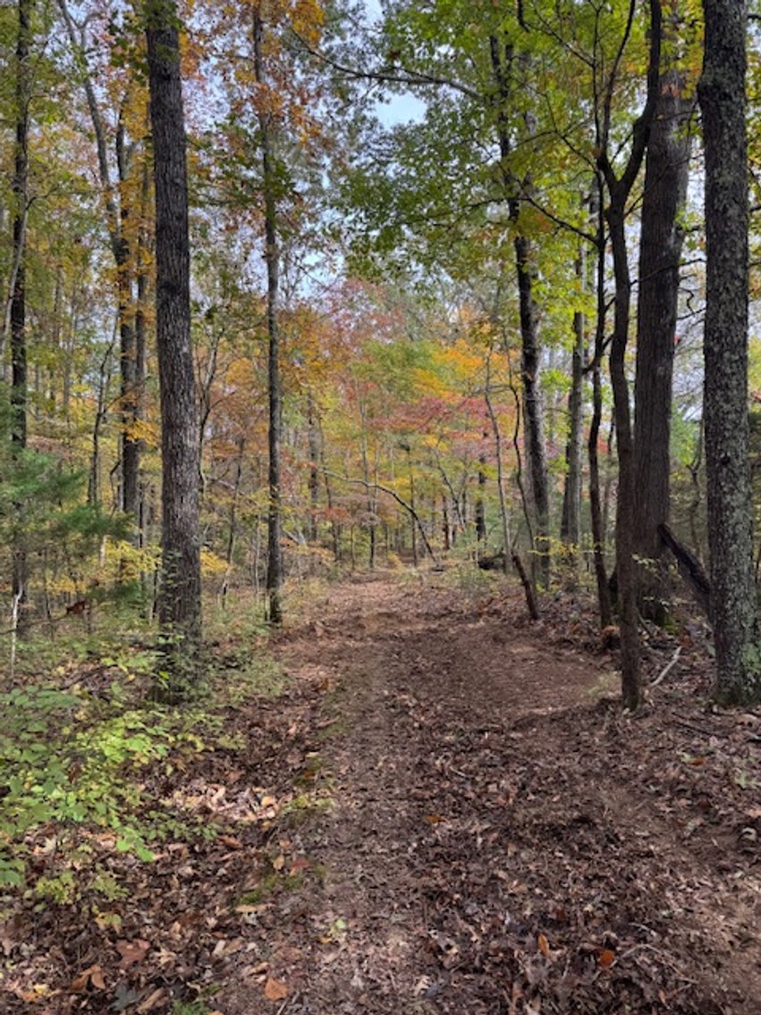 Image for 65 acres on Barren Fork Creek - Bon Aqua, TN