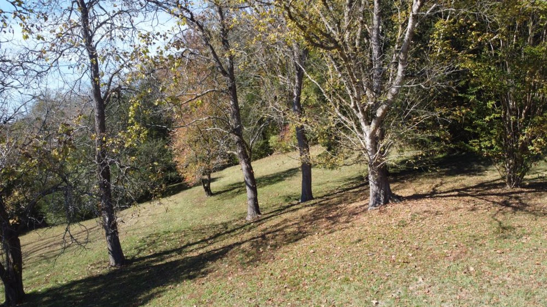 Image for South Harpeth Hillside Haven - House & 6.6 acres