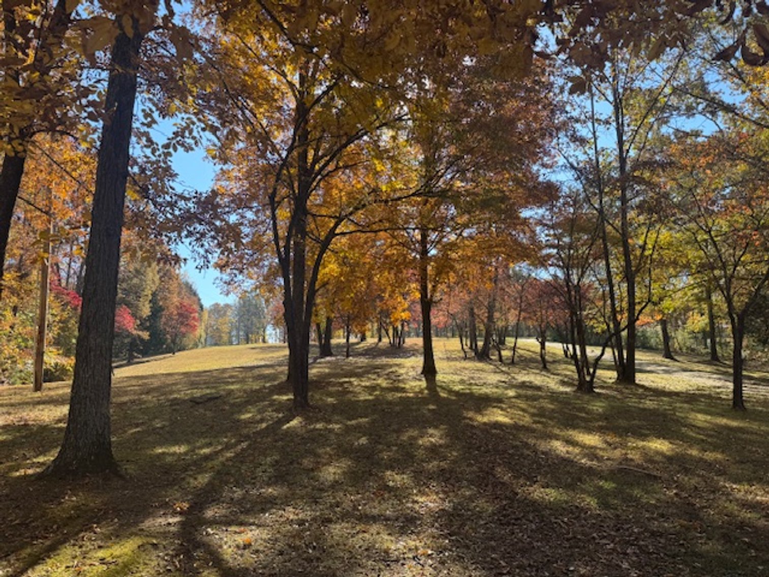 Image for Forrest Glenn Estate - Home & 5.89 acres in Fairview