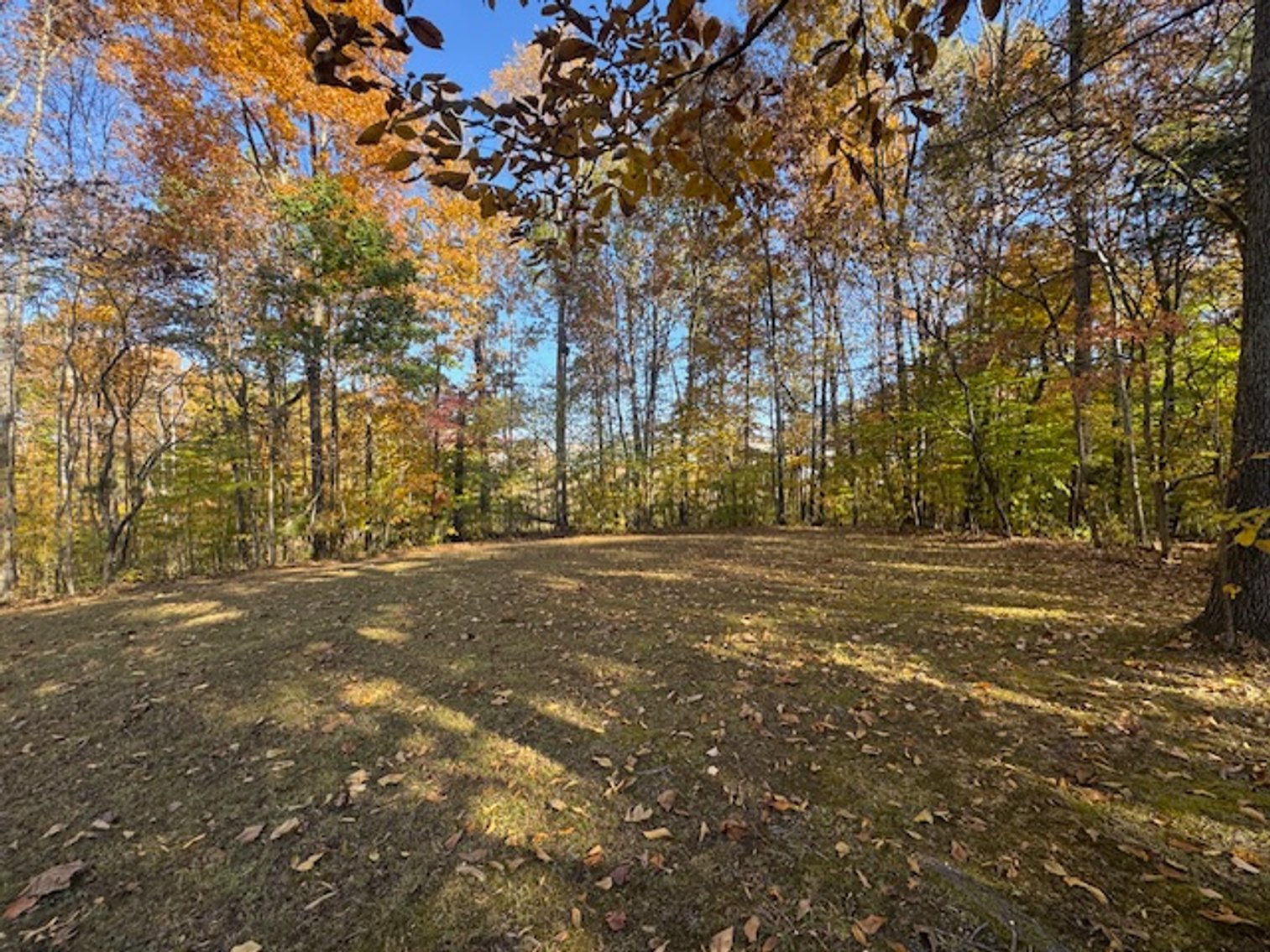 Image for Forrest Glenn Estate - Home & 5.89 acres in Fairview