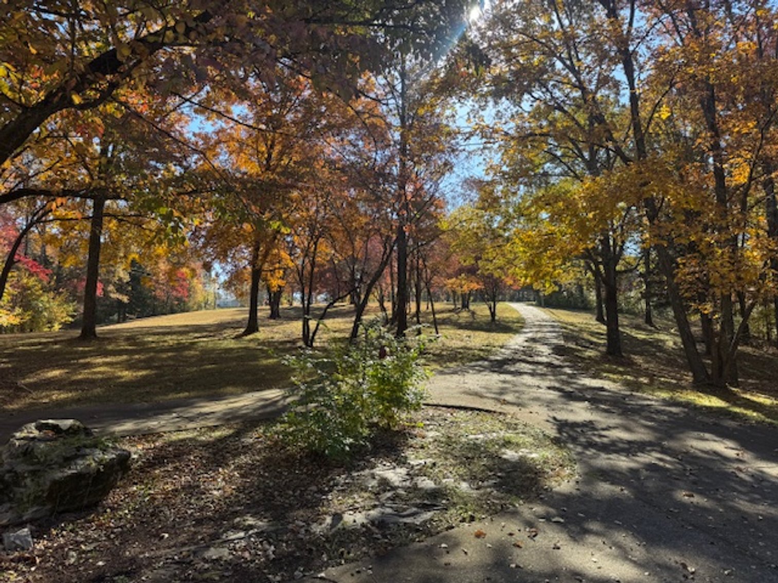 Image for Forrest Glenn Estate - Home & 5.89 acres in Fairview