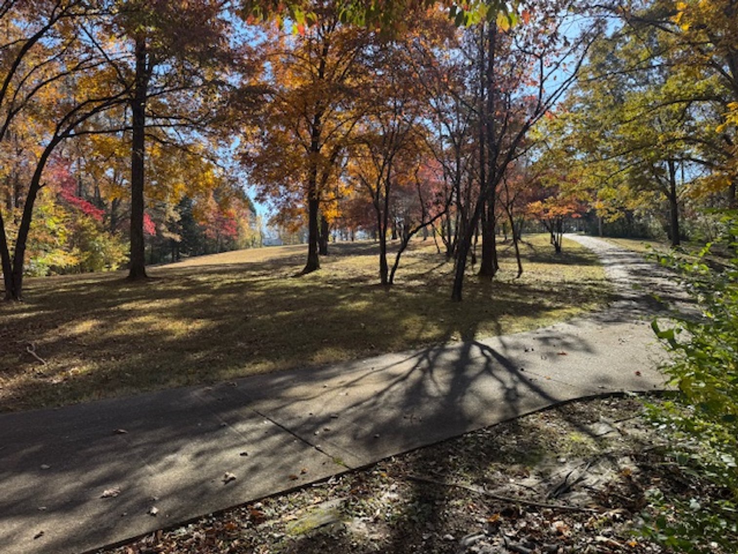 Image for Forrest Glenn Estate - Home & 5.89 acres in Fairview