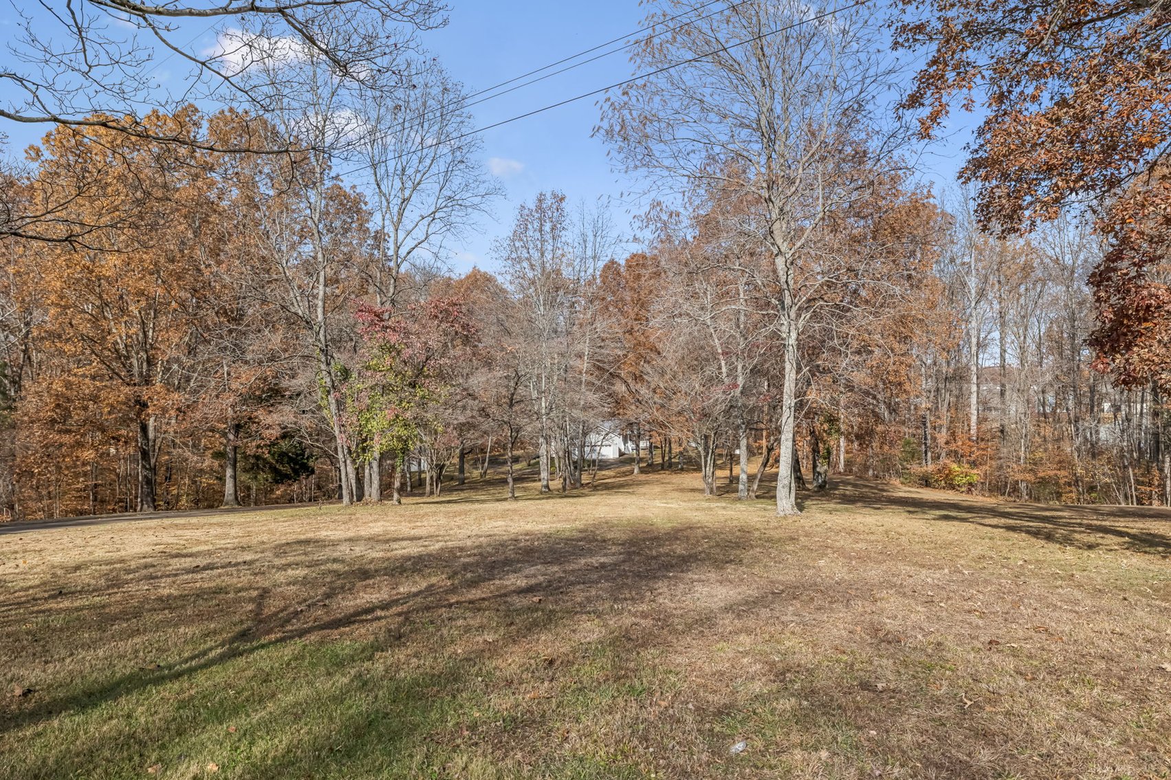 Image for Forrest Glenn Estate - Home & 5.89 acres in Fairview