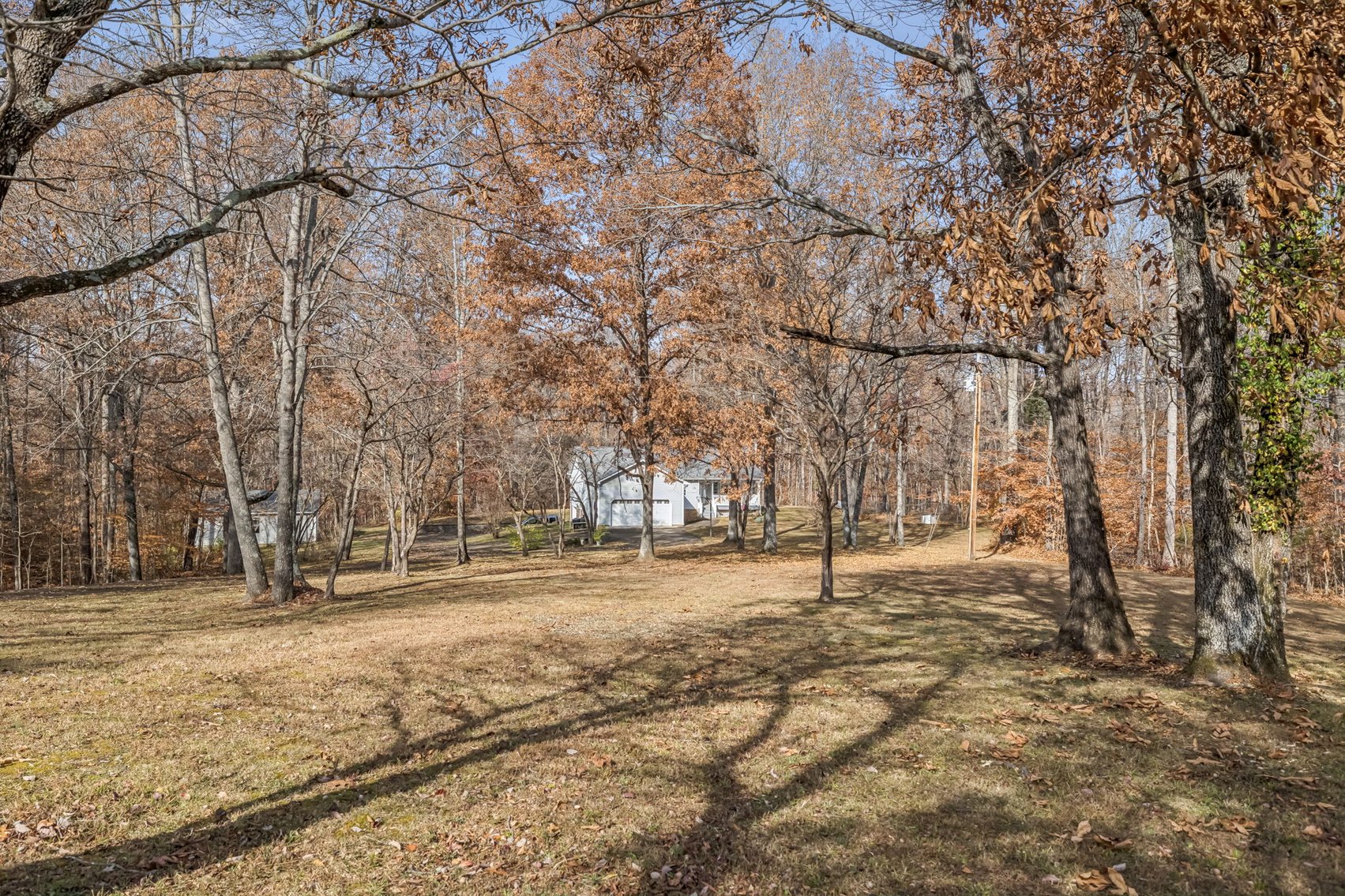 Image for Forrest Glenn Estate - Home & 5.89 acres in Fairview