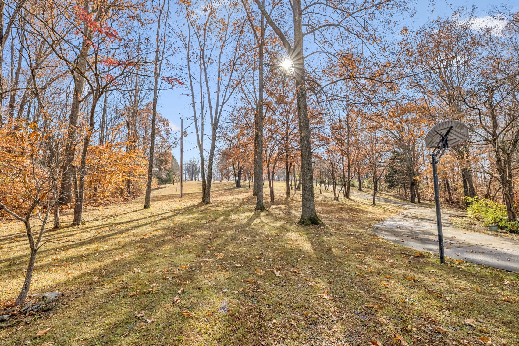 Image for Forrest Glenn Estate - Home & 5.89 acres in Fairview