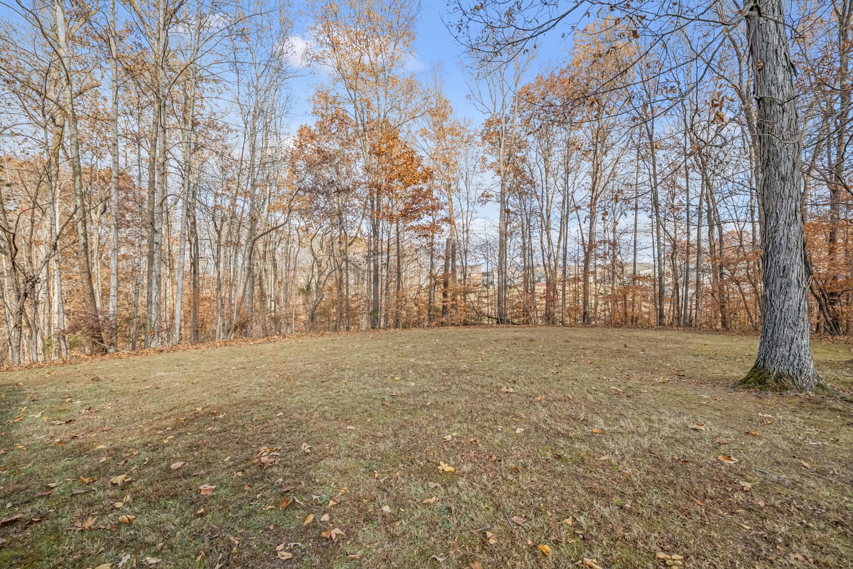 Image for Forrest Glenn Estate - Home & 5.89 acres in Fairview