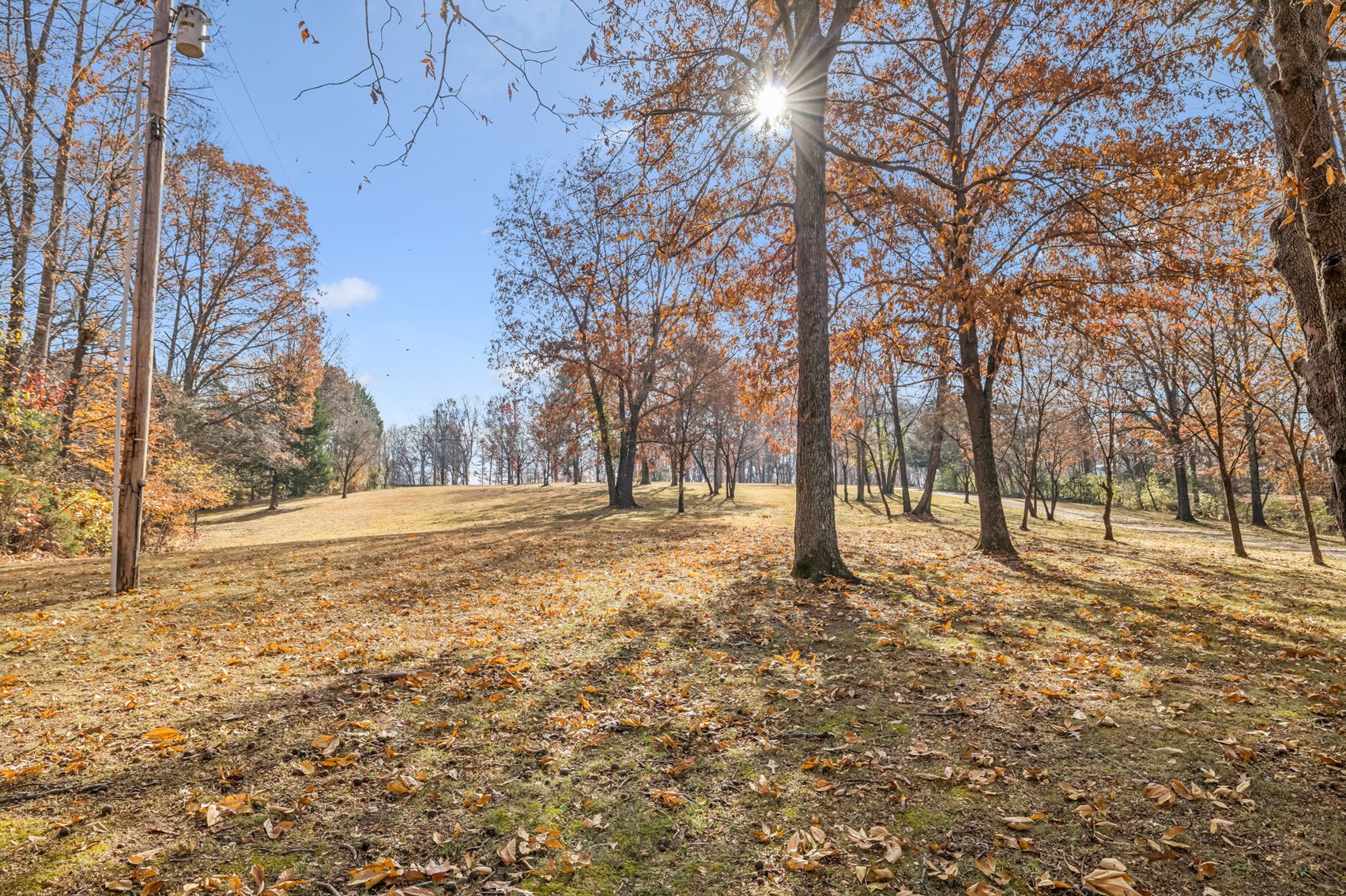 Image for Forrest Glenn Estate - Home & 5.89 acres in Fairview