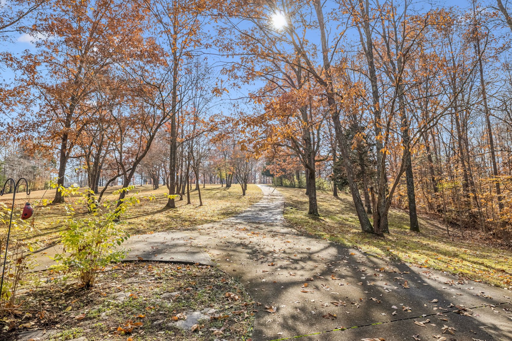 Image for Forrest Glenn Estate - Home & 5.89 acres in Fairview