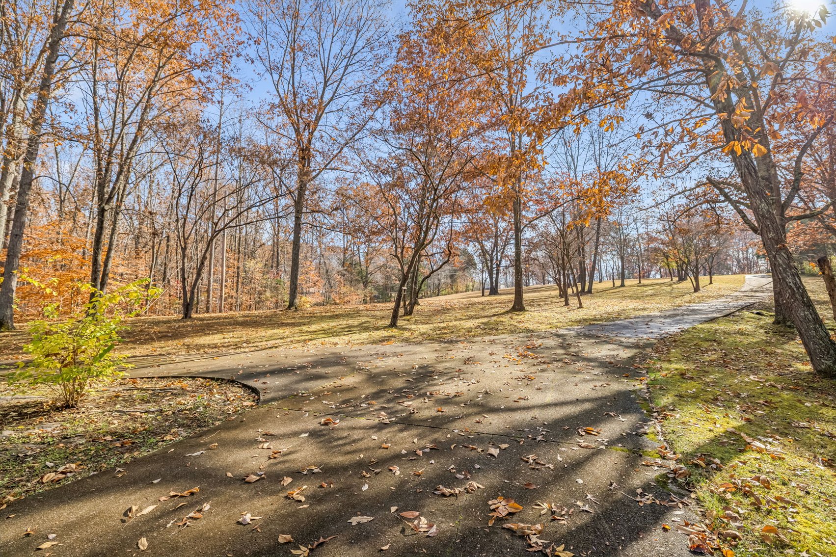 Image for Forrest Glenn Estate - Home & 5.89 acres in Fairview