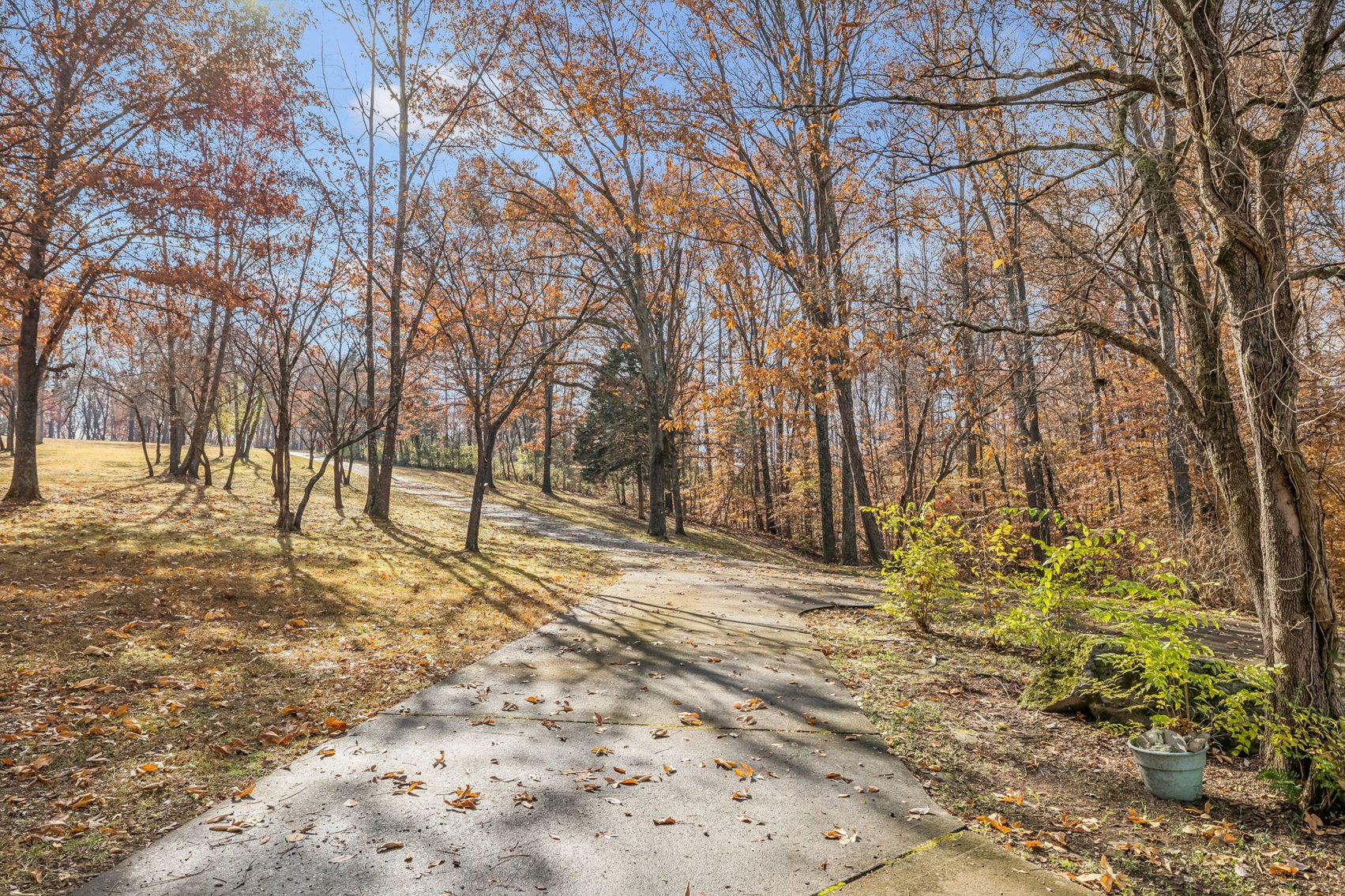 Image for Forrest Glenn Estate - Home & 5.89 acres in Fairview