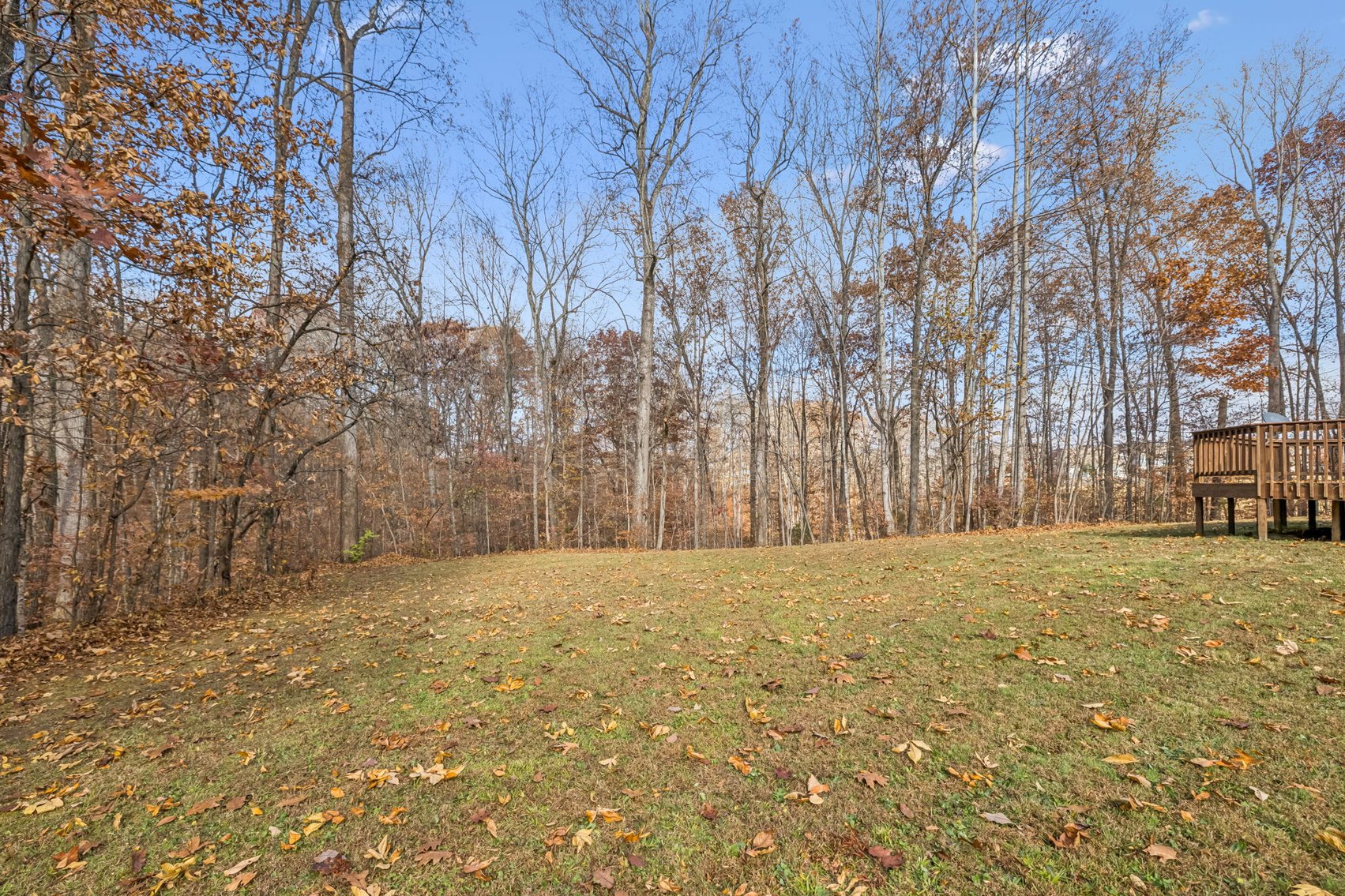 Image for Forrest Glenn Estate - Home & 5.89 acres in Fairview