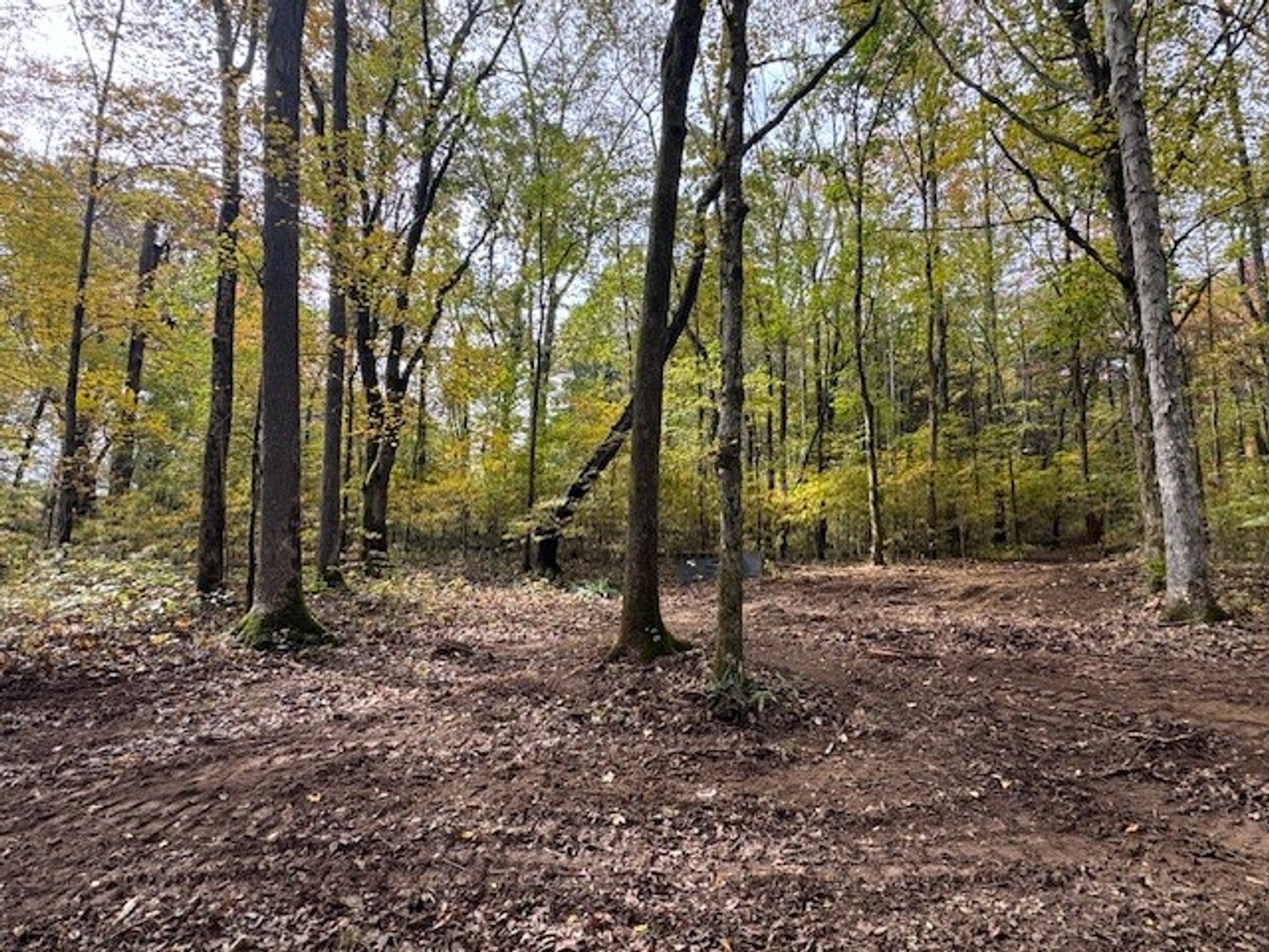 Image for 65.82 Acres - Barren Fork Drive in Bon Aqua (East Hickman County) - $650,000