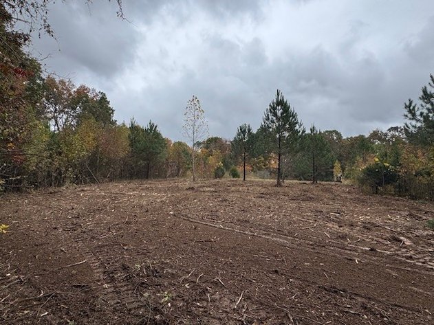 Image for 65.82 Acres - Barren Fork Drive in Bon Aqua (East Hickman County) - $650,000
