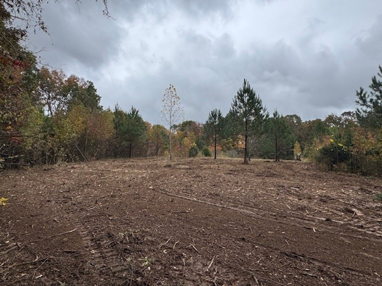 Image for 65.82 Acres - Barren Fork Drive in Bon Aqua (East Hickman County) - $650,000