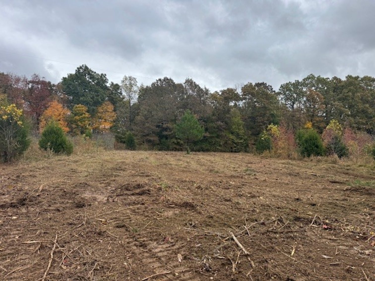 Image for 65.82 Acres - Barren Fork Drive in Bon Aqua (East Hickman County) - $650,000
