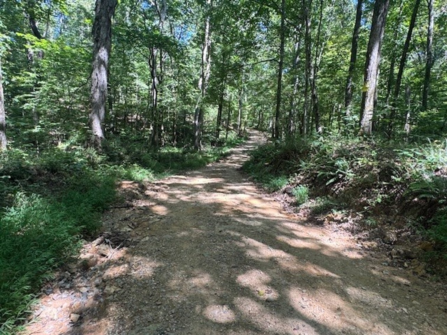 Image for 65.82 Acres - Barren Fork Drive in Bon Aqua (East Hickman County) - $650,000