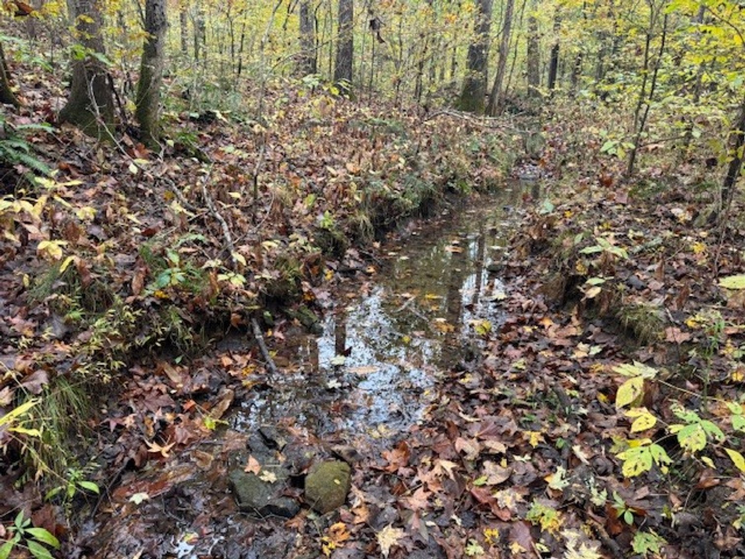 Image for 65.82 Acres - Barren Fork Drive in Bon Aqua (East Hickman County) - $650,000