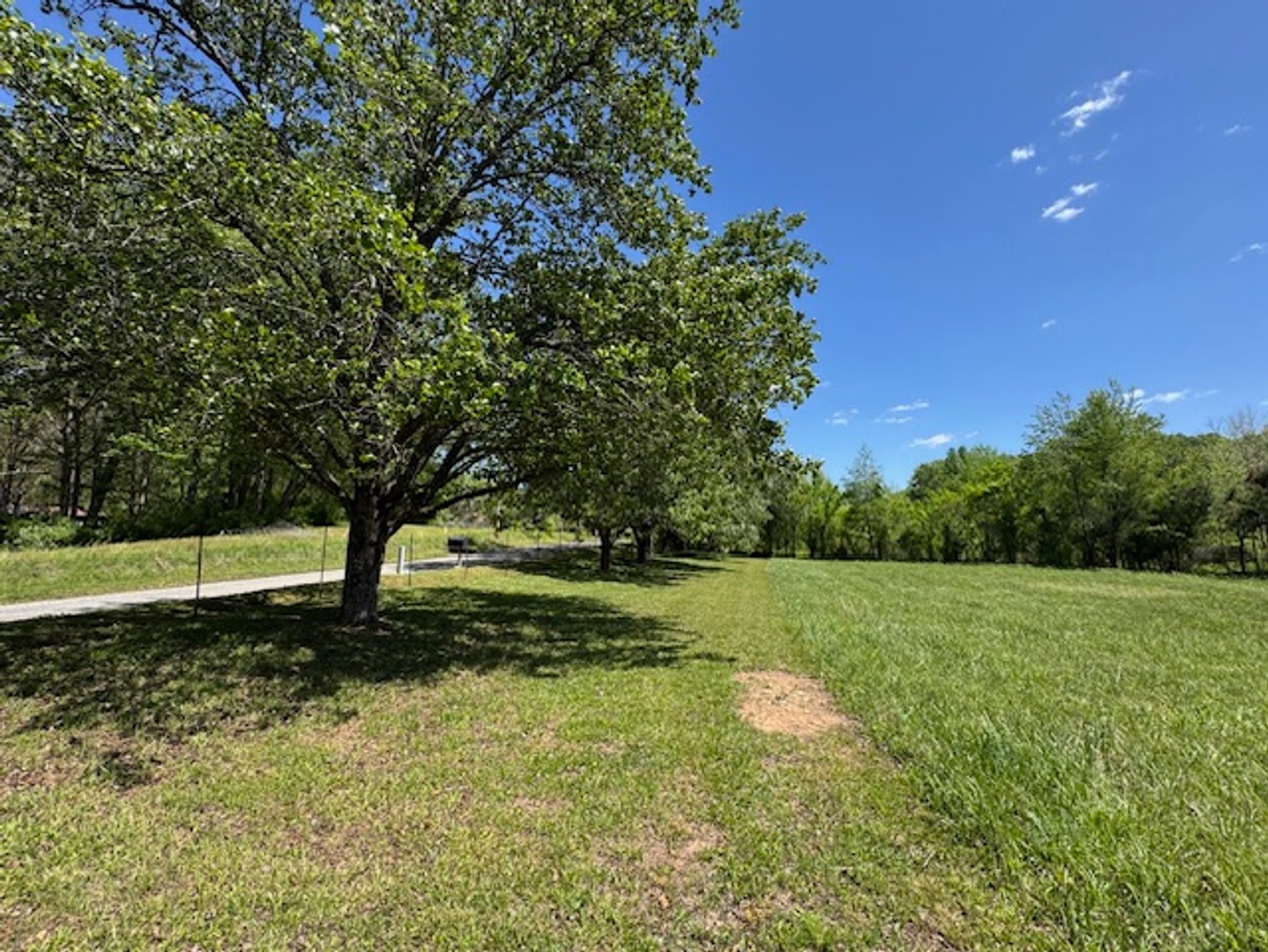 Image for Creekside Haven - Cabin on Bells Branch Creek w/ 3.76 acres