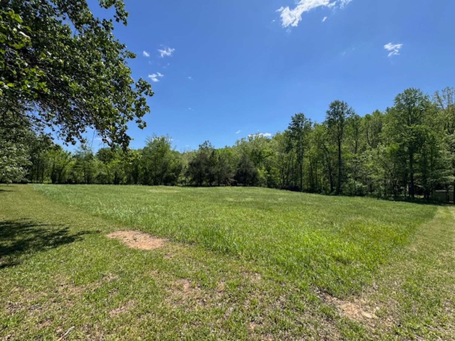 Image for Creekside Haven - Cabin on Bells Branch Creek w/ 3.76 acres