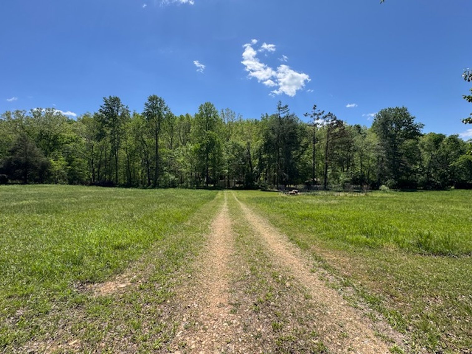 Image for Creekside Haven - Cabin on Bells Branch Creek w/ 3.76 acres